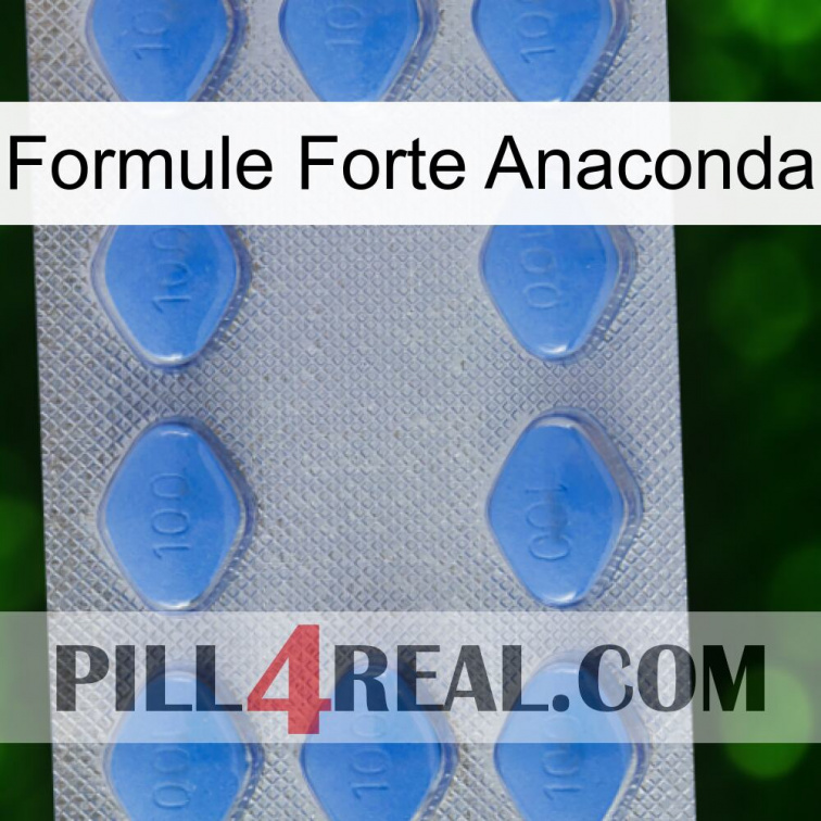 Anaconda Strong Formula 21